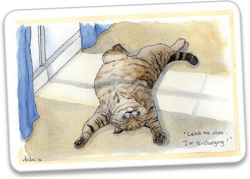 Cat recharging toughened - cat,